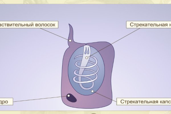 Ссылка на кракен onion kraken dark link